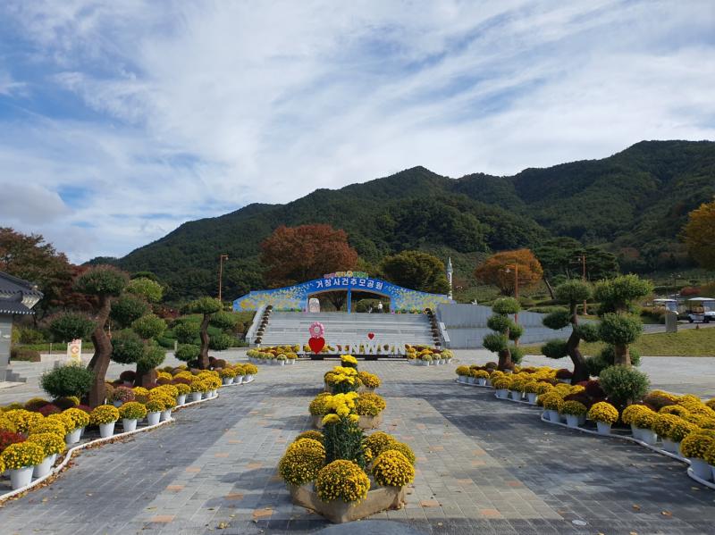 거창사건 추모공원 국화 향 바람에 날다.