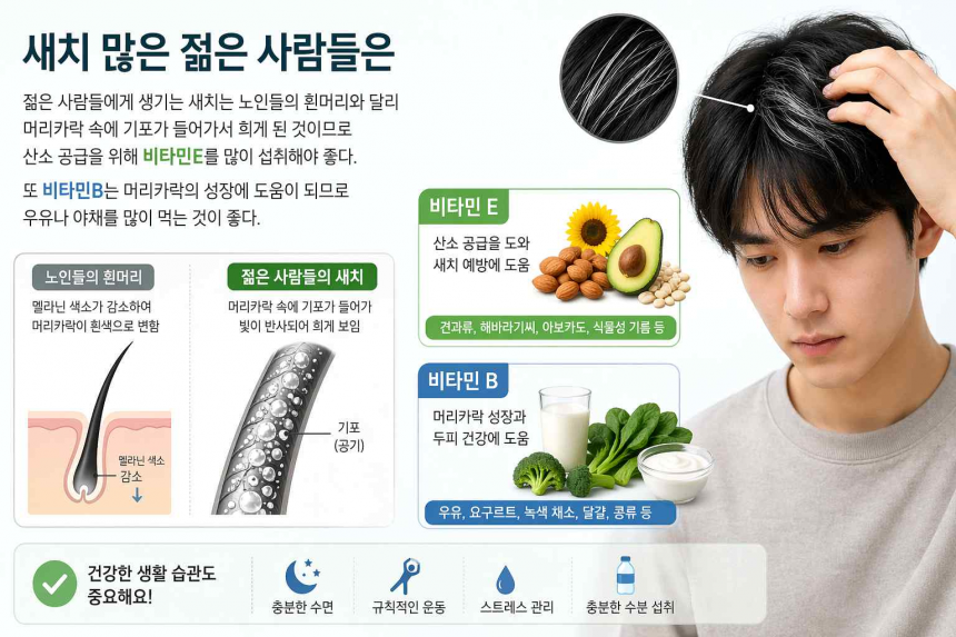 arimnews 뉴스