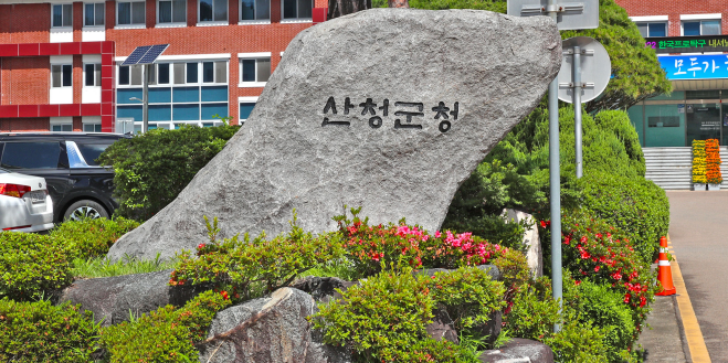 arimnews 뉴스