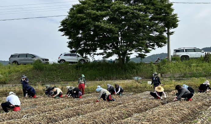 arimnews 뉴스